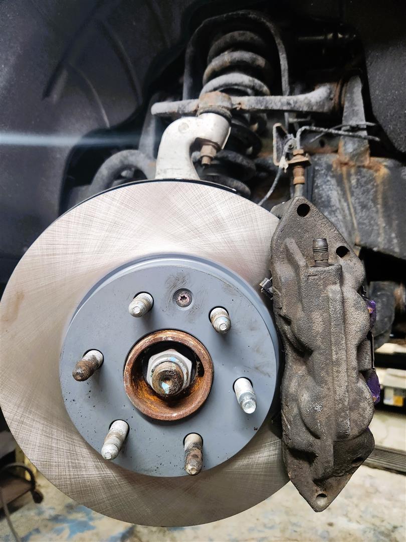 why do my brakes squeak in the morning?